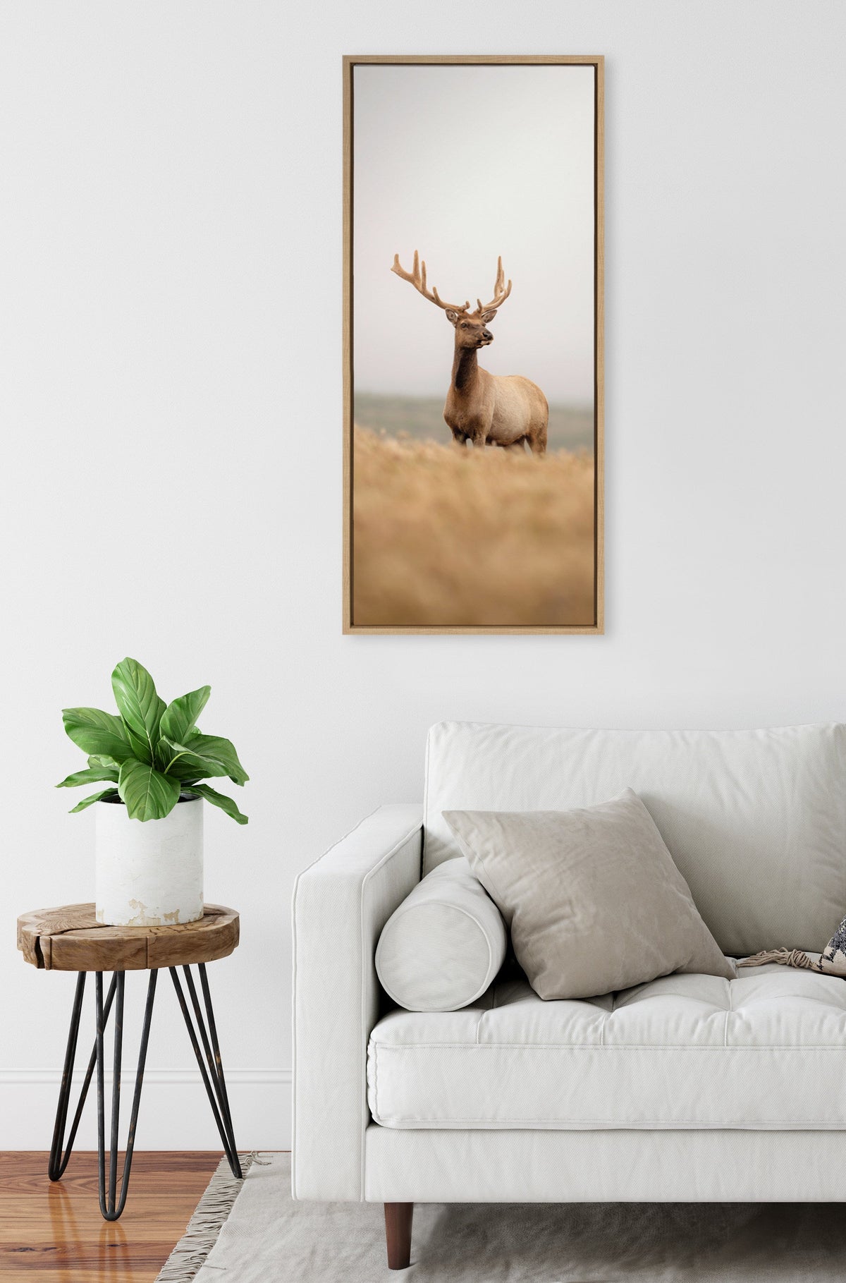 Sylvie Tule Elk No 6 Framed Canvas by Crystal Lynn Collins