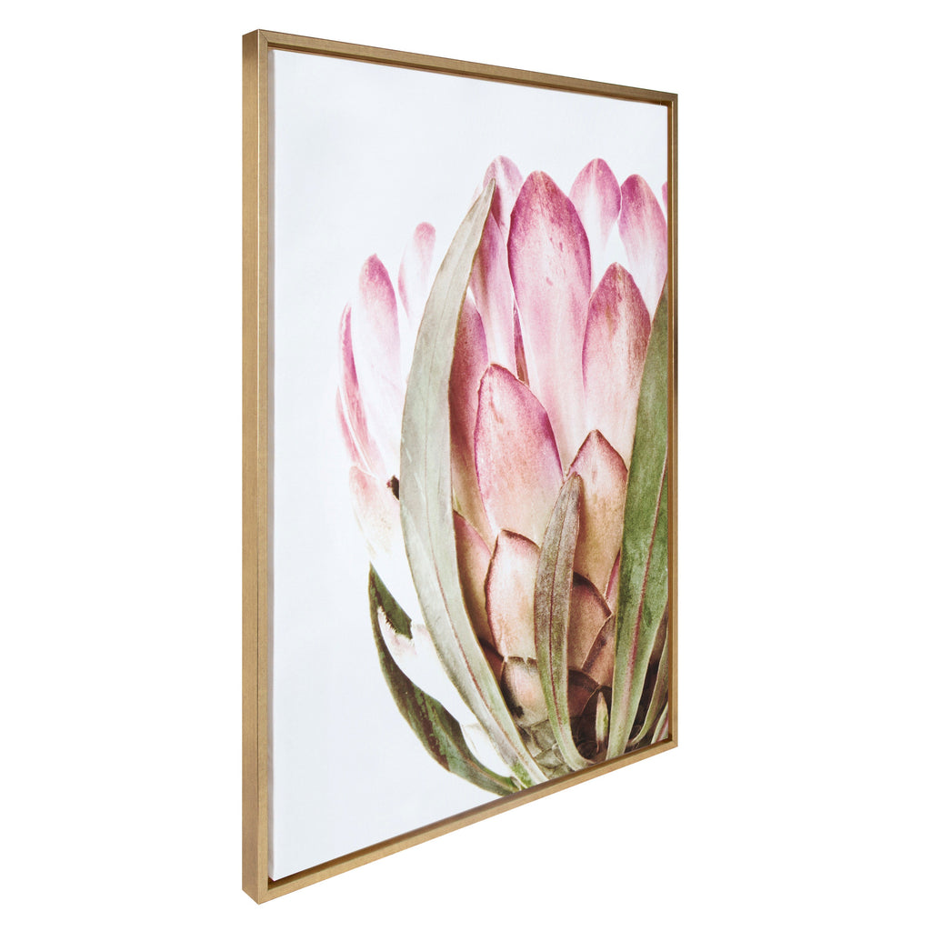 Sylvie Pink Protea Flower Framed Canvas by Amy Peterson
