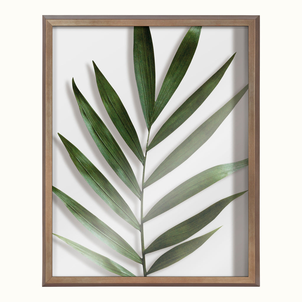 Blake Botanical 5F Framed Printed Glass by Amy Peterson