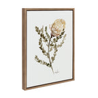 Sylvie Wild Banksia Framed Canvas by Sara Berrenson