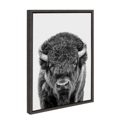 Sylvie Bison Portrait Black and White Framed Canvas by Amy Peterson Art Studio