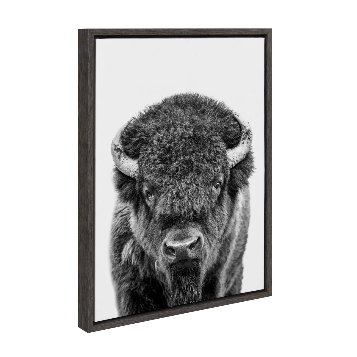 Sylvie Bison Portrait Black and White Framed Canvas by Amy Peterson Art Studio