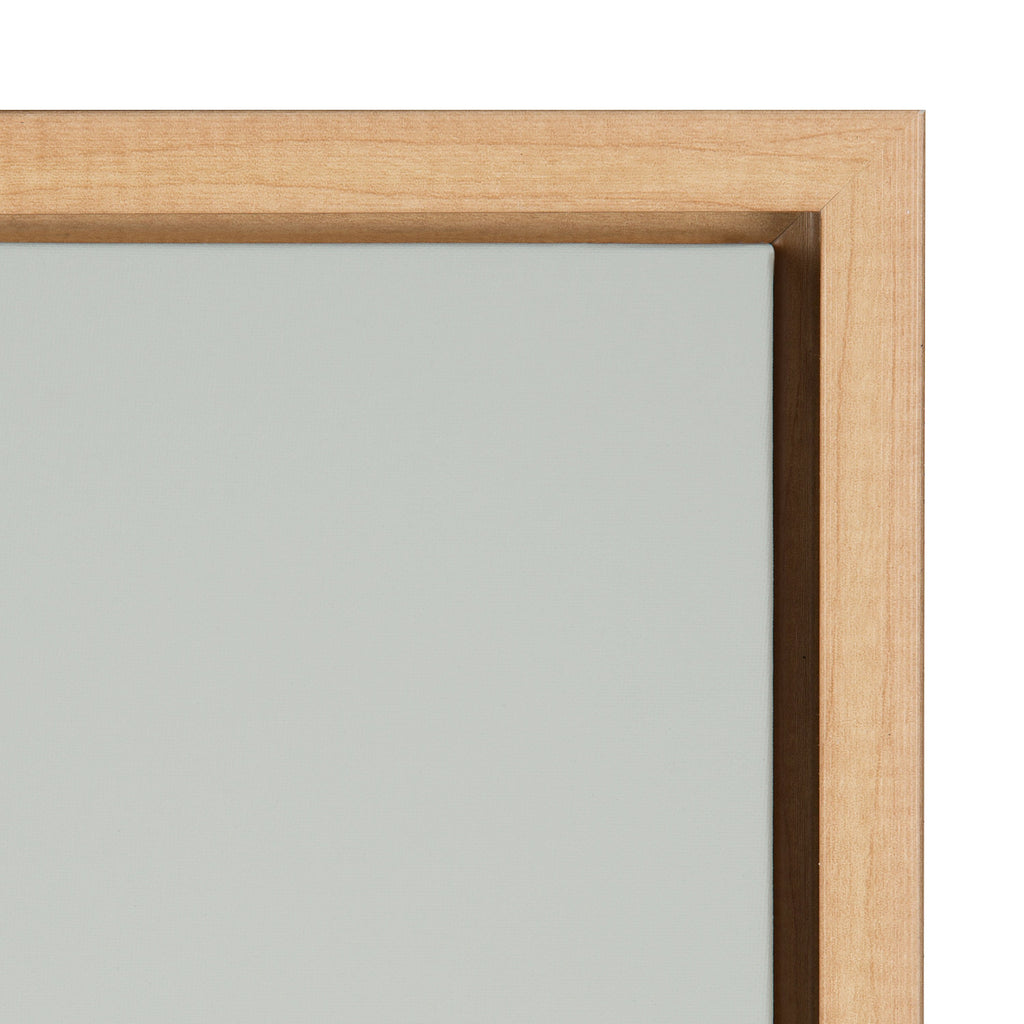Sylvie Galah Framed Canvas by Rachel Lee of My Dream Wall