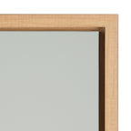 Sylvie Galah Framed Canvas by Rachel Lee of My Dream Wall