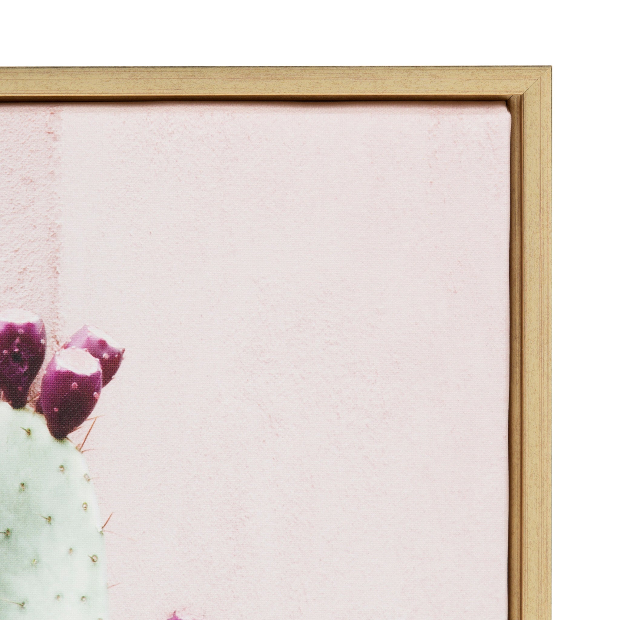 Sylvie Cactus 25 Framed Canvas by Amy Peterson