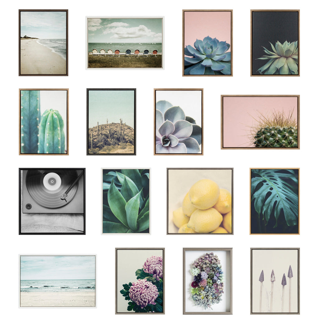 Sylvie Succulent Framed Canvas Set by Emiko and Mark Franzen of F2Images