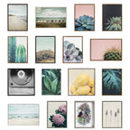 Sylvie Succulent Framed Canvas Set by Emiko and Mark Franzen of F2Images