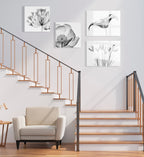 Crocus X Ray Floral Floating Acrylic Art by The Creative Bunch Studio