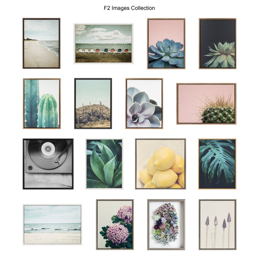 Sylvie Succulent 5 Framed Canvas by F2 Images