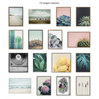 Sylvie Succulent 5 Framed Canvas by F2 Images