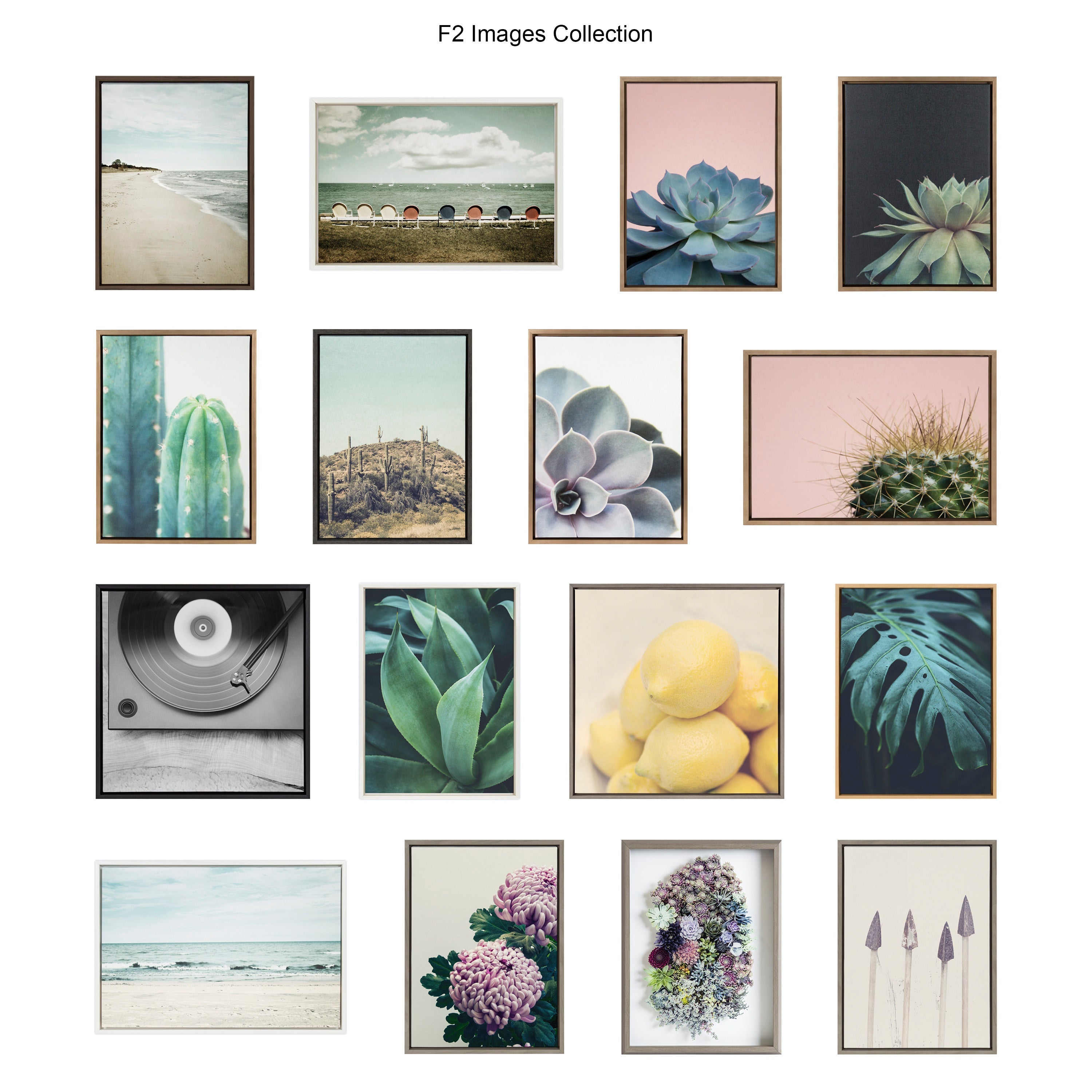 Sylvie Succulent 5 Framed Canvas by F2 Images