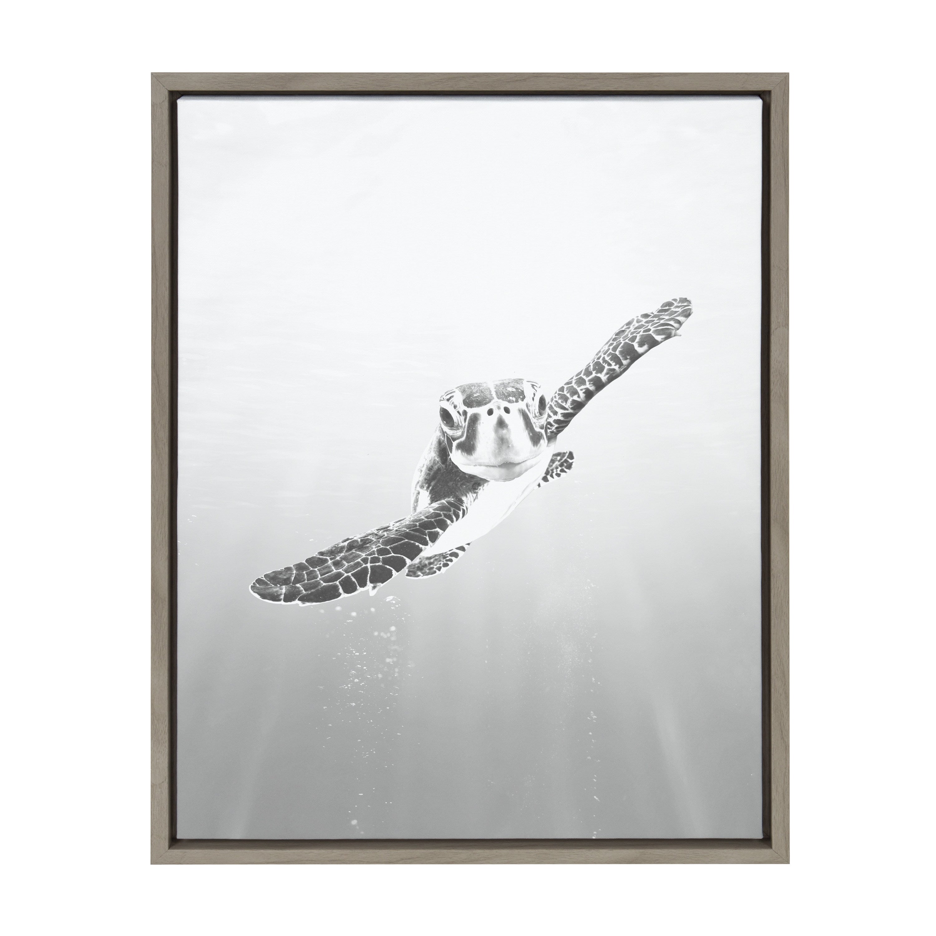 Sylvie Sea Turtle Framed Canvas by Simon Te of Tai Prints