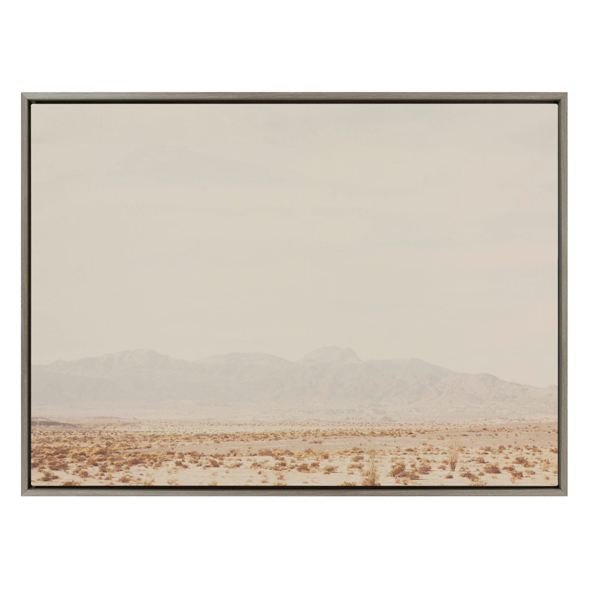 Sylvie California Dreaming Framed Canvas by Laura Evans