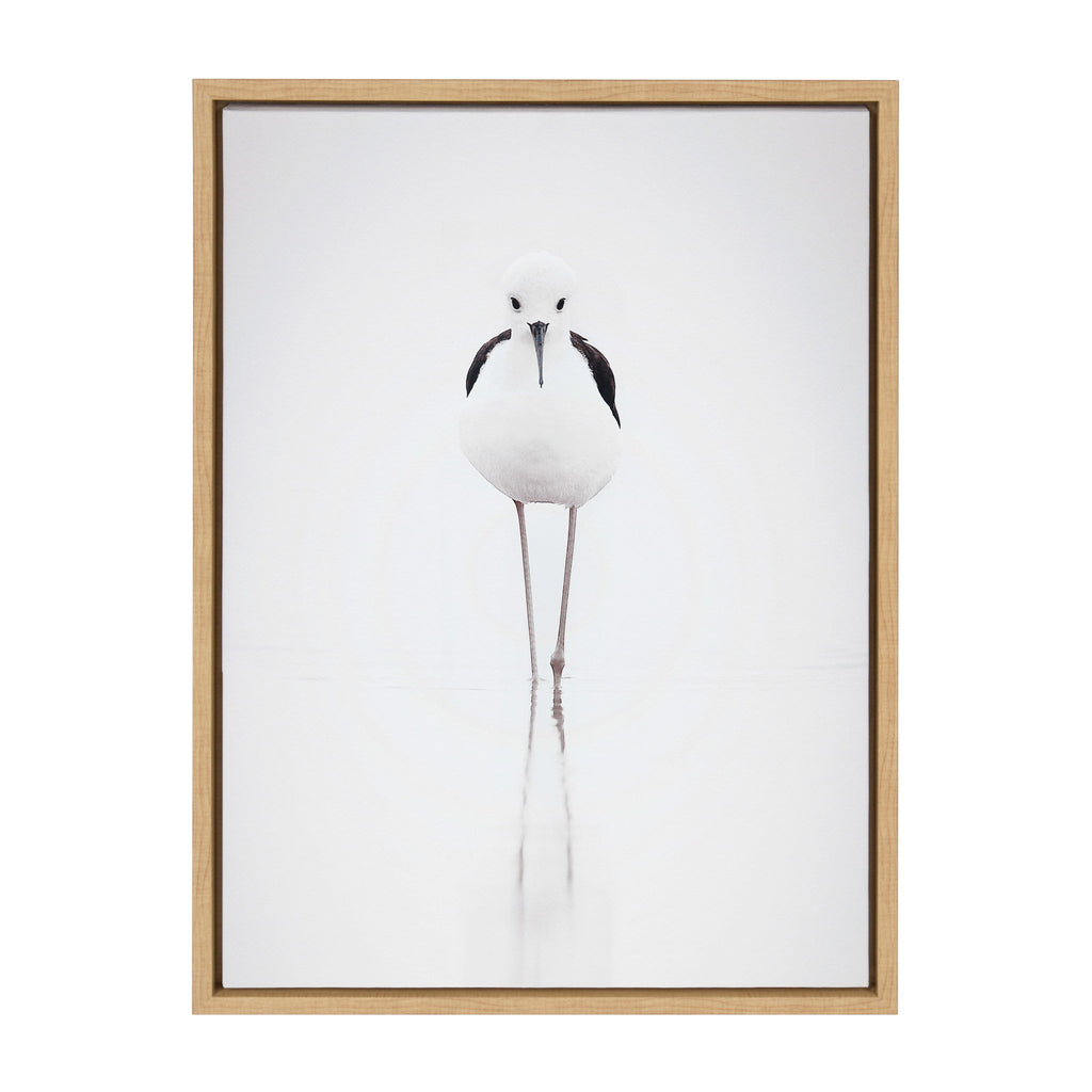 Sylvie Seagull Framed Canvas by Tai Prints