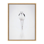 Sylvie Seagull Framed Canvas by Tai Prints