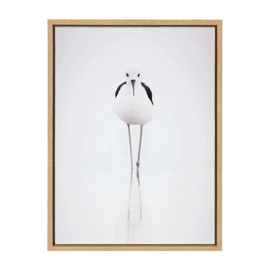 Sylvie Seagull Framed Canvas by Tai Prints