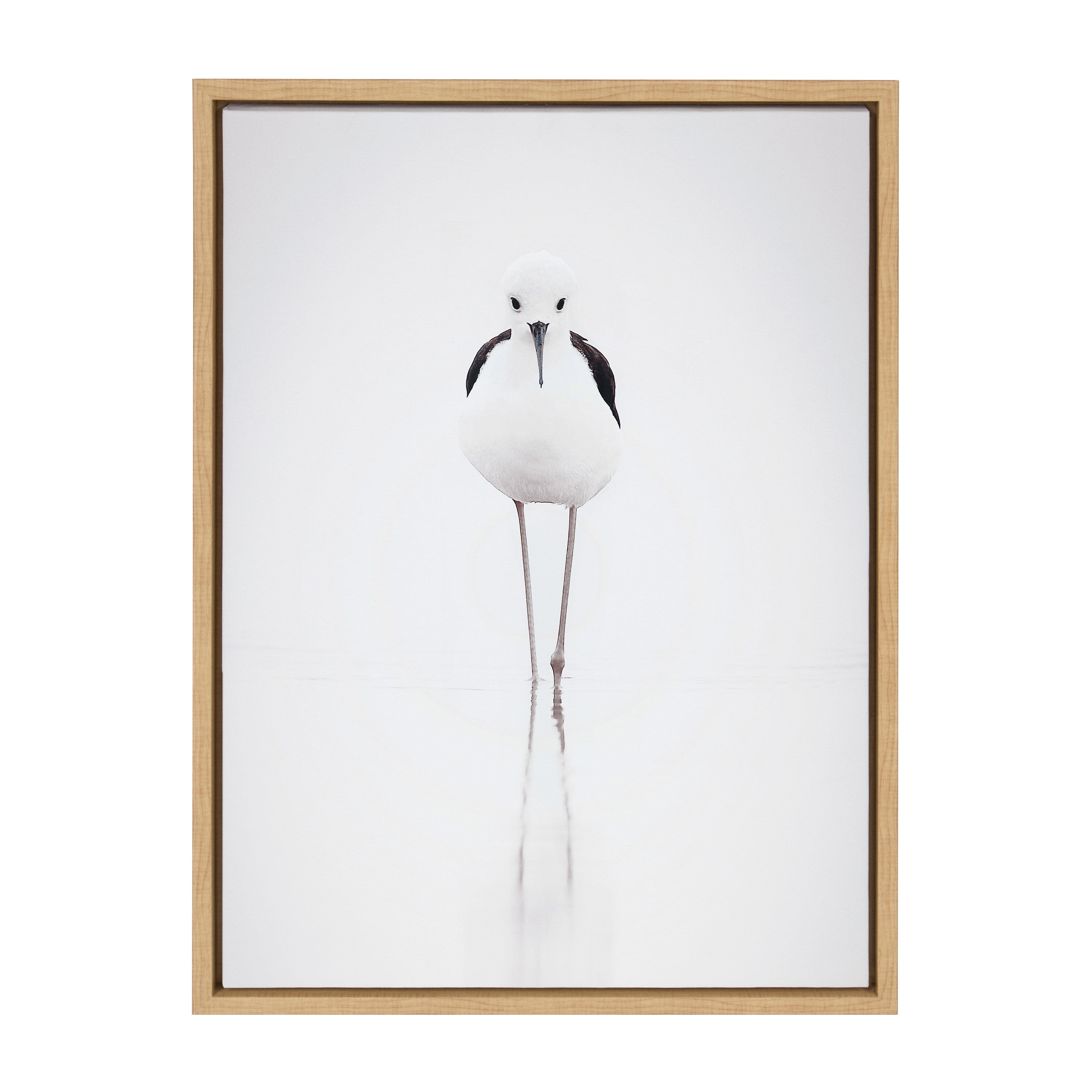 Sylvie Seagull Framed Canvas by Tai Prints