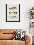 Sylvie Rainbow Trout Framed Canvas by Cathy Zhang