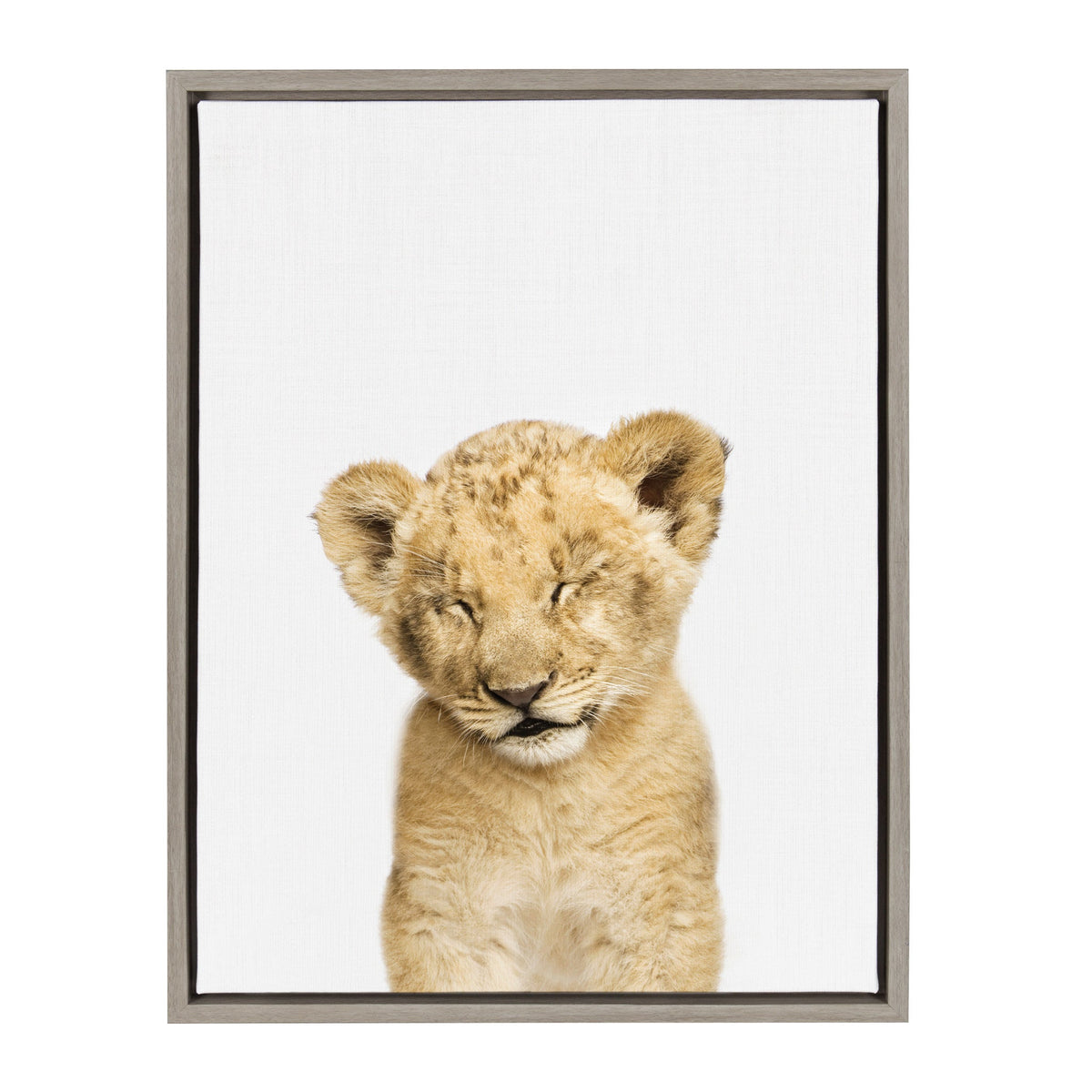 Sylvie Animal Studio Sleepy Lion Framed Canvas by Amy Peterson Art Studio