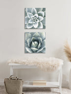Soft Botanical Succulents by The Creative Bunch Studio