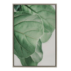 Sylvie Plant Study 6 Framed Canvas by Alicia Abla