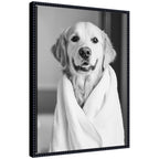 Sylvie Golden Retriever Bathroom Towel Robe Black and White Framed Canvas by The Creative Bunch Studio