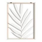 Blake Botanical 5F Framed Printed Glass by Amy Peterson