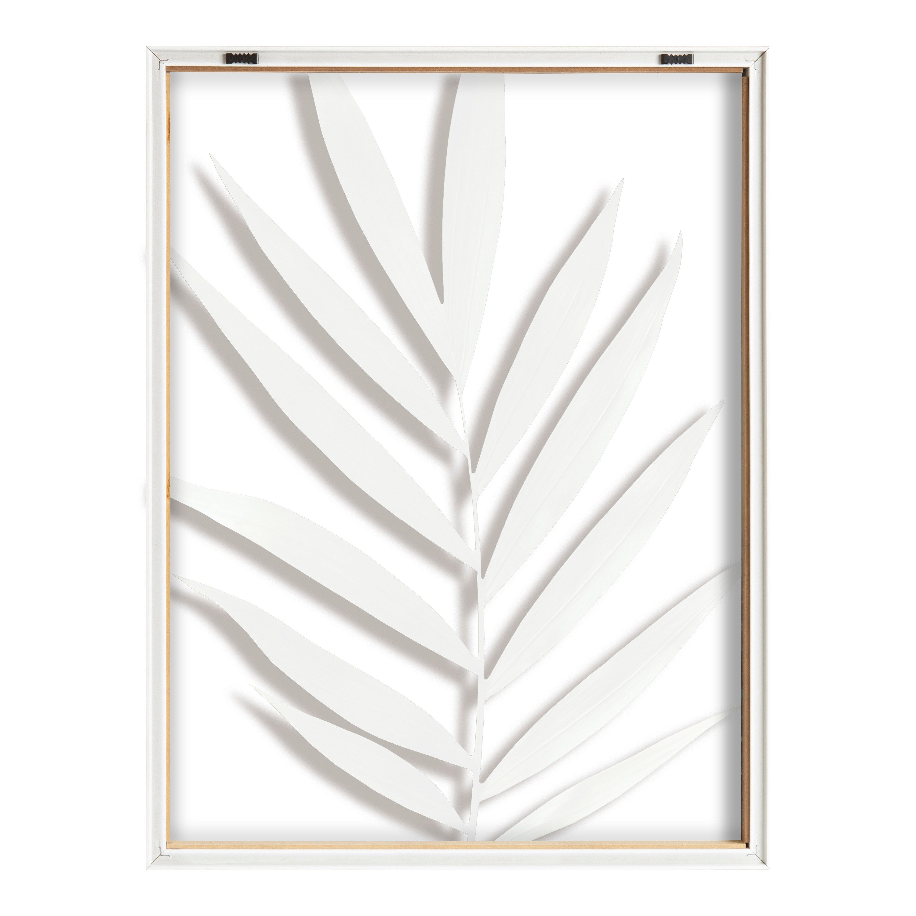 Blake Botanical 5F Framed Printed Glass by Amy Peterson
