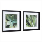 Calter Succulent Leaves Framed Print Art Set by Amy Peterson