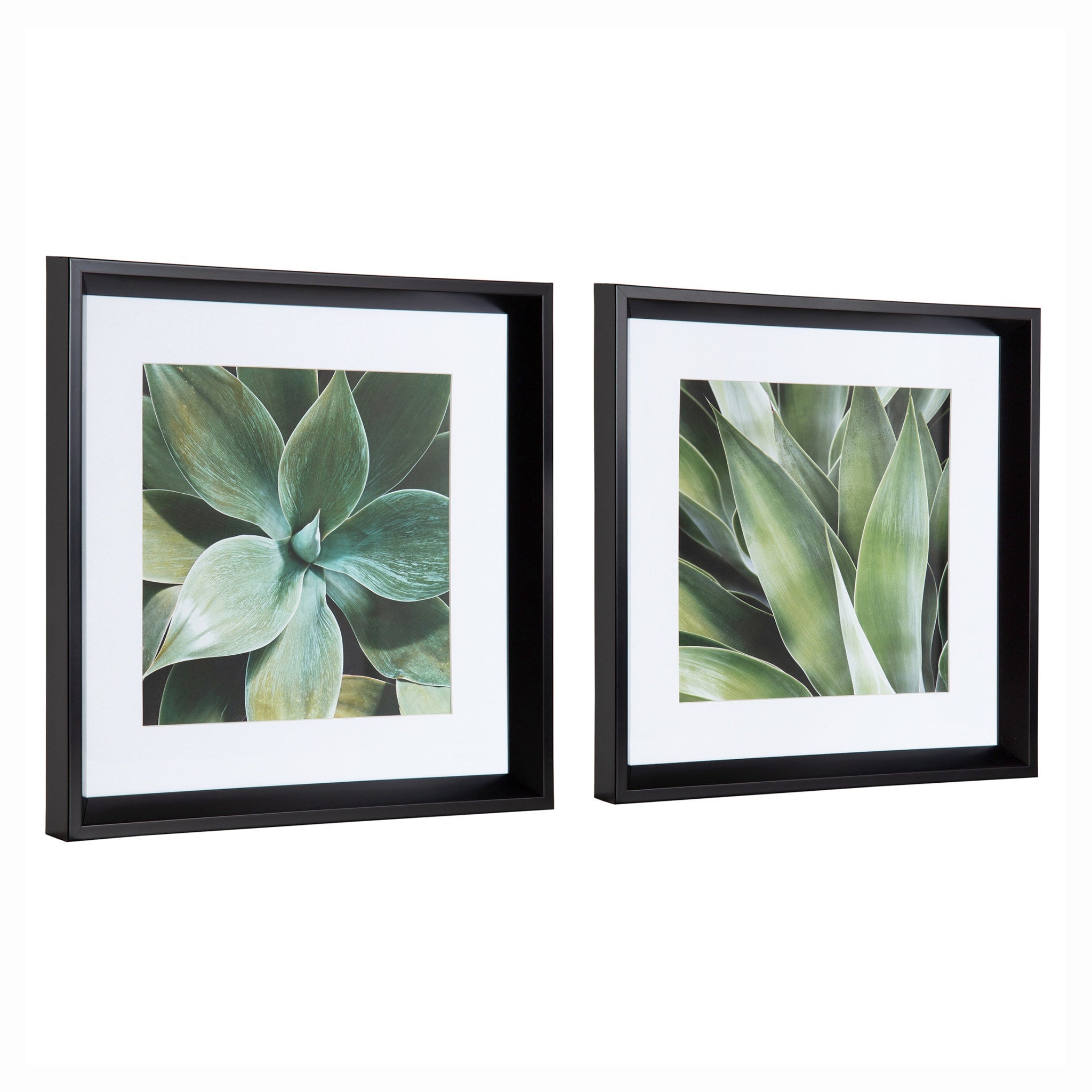Calter Succulent Leaves Framed Print Art Set by Amy Peterson