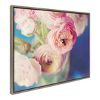 Sylvie Ranunculus in Blue Framed Canvas by Kristybee