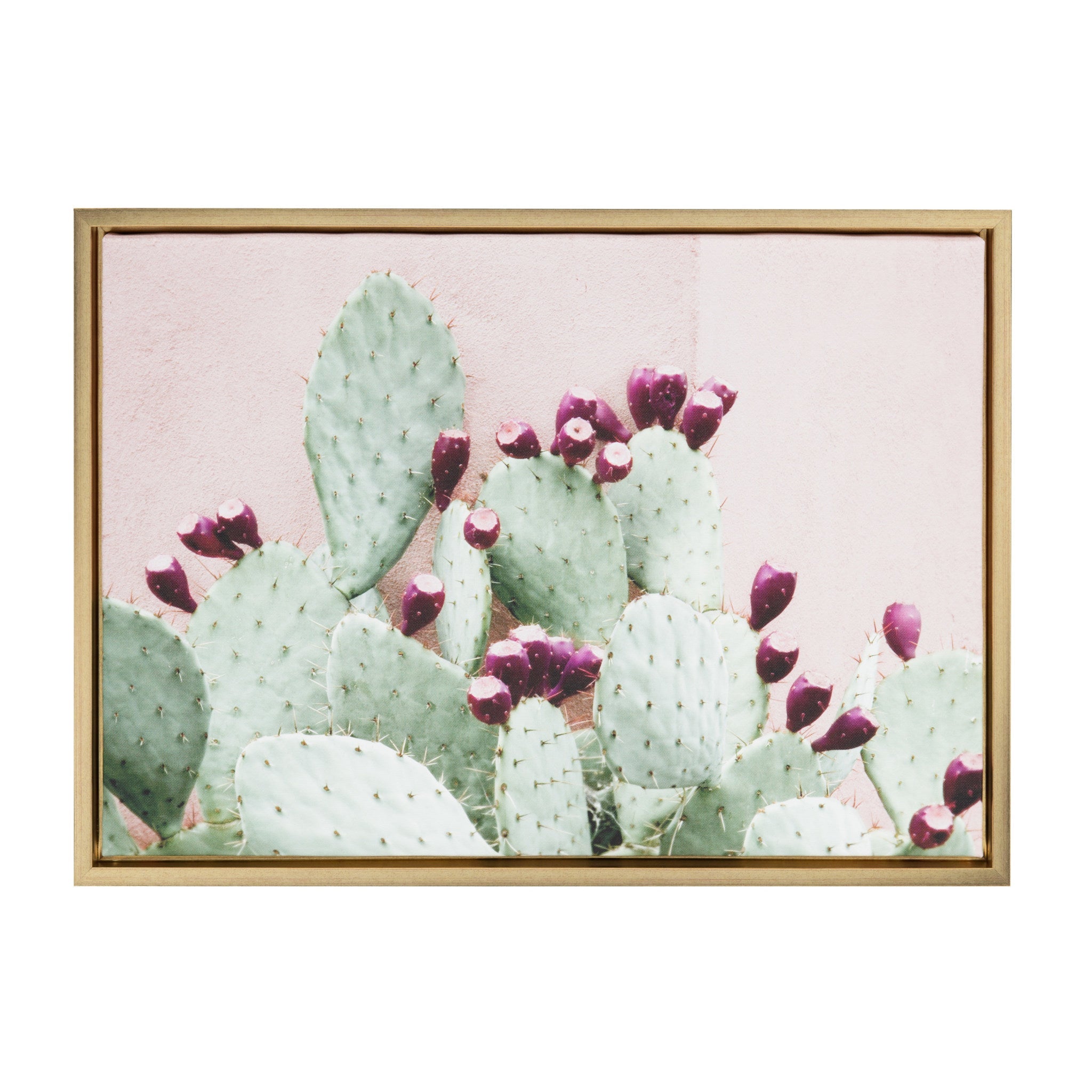 Sylvie Cactus 25 Framed Canvas by Amy Peterson
