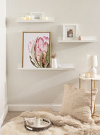 Sylvie Pink Protea Flower Framed Canvas by Amy Peterson