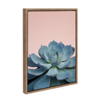 Sylvie Succulent 10 Framed Canvas by F2 Images