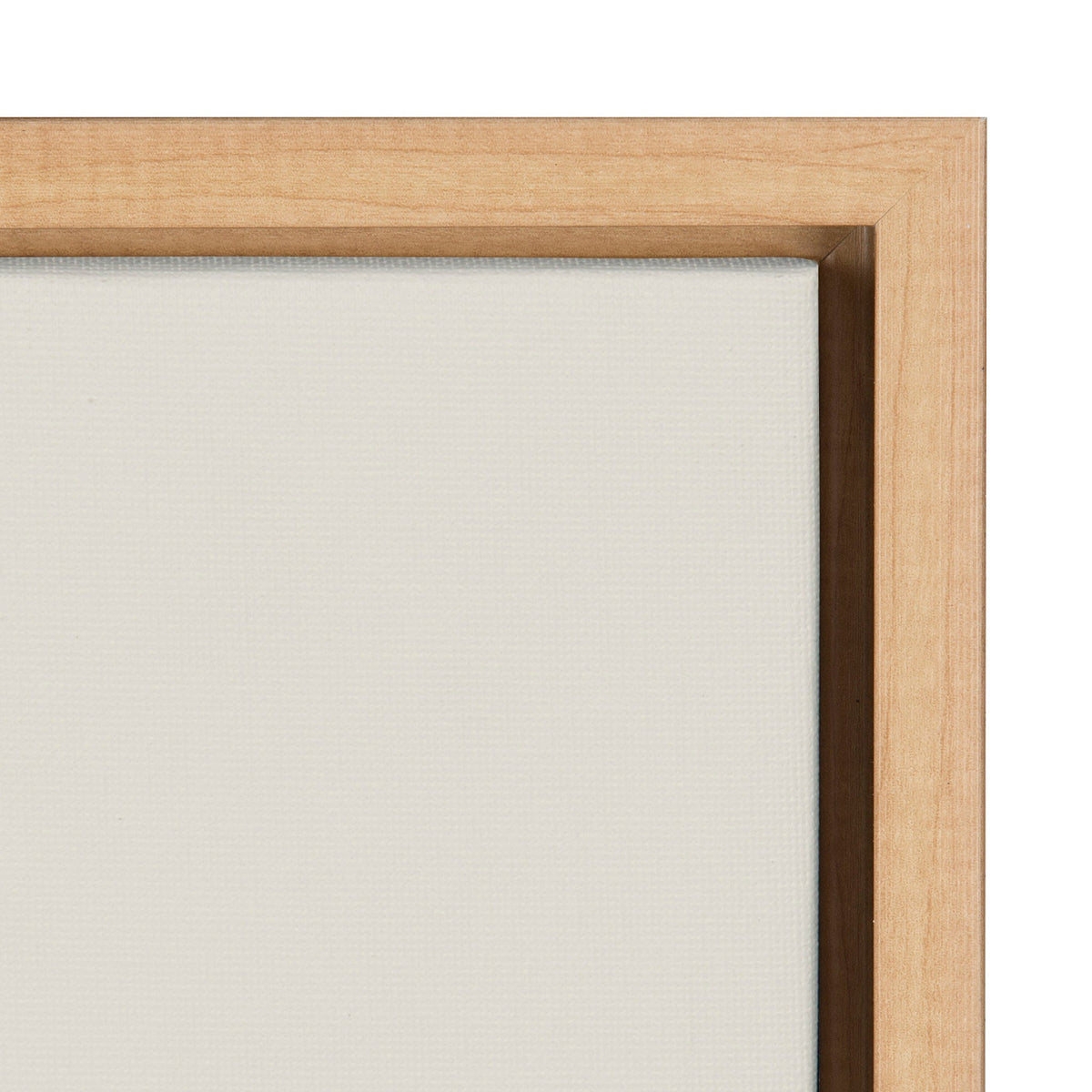 Sylvie Mid Century Modern Rhino Framed Canvas by Rachel Lee of My Dream Wall