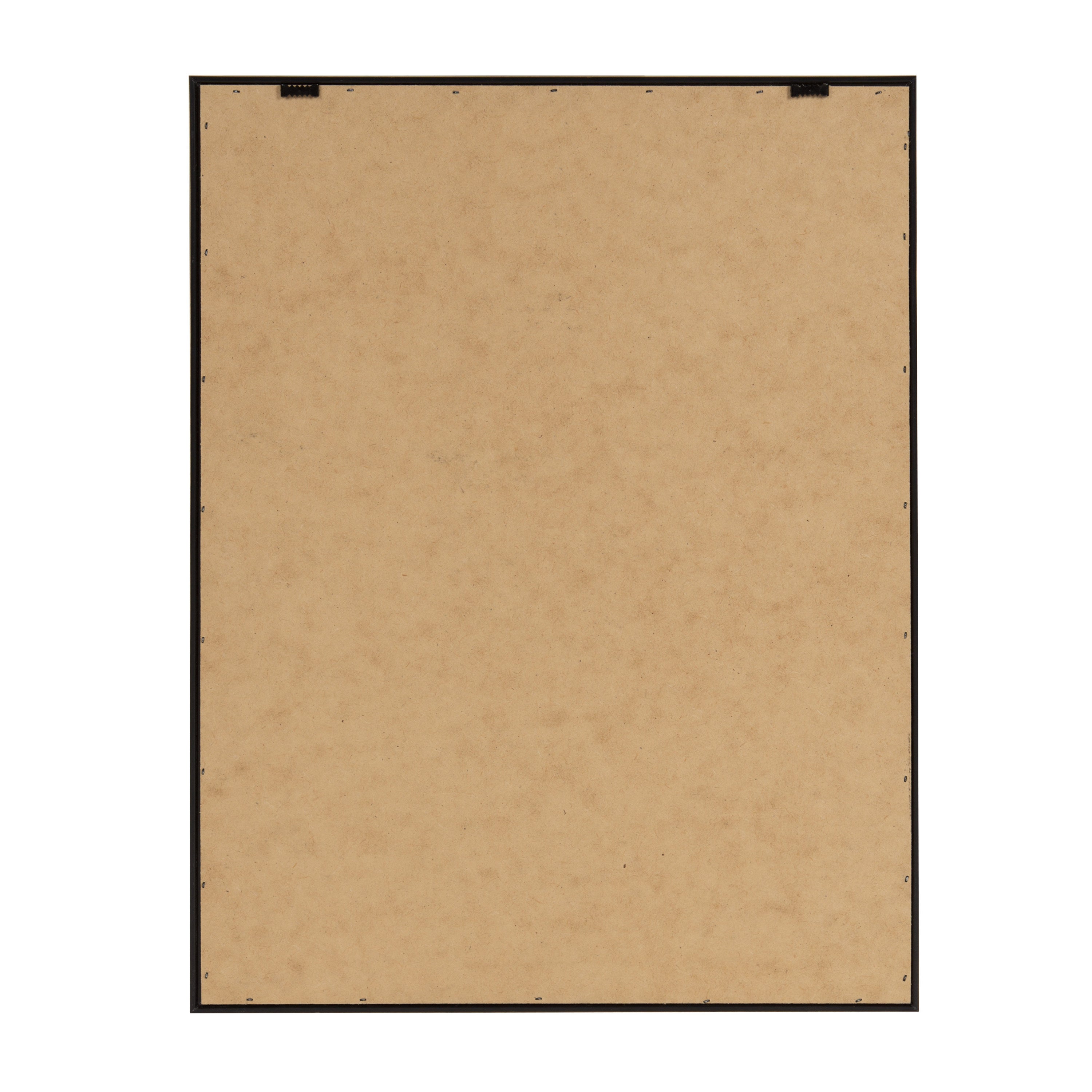 Sylvie Galah Framed Canvas by Rachel Lee of My Dream Wall