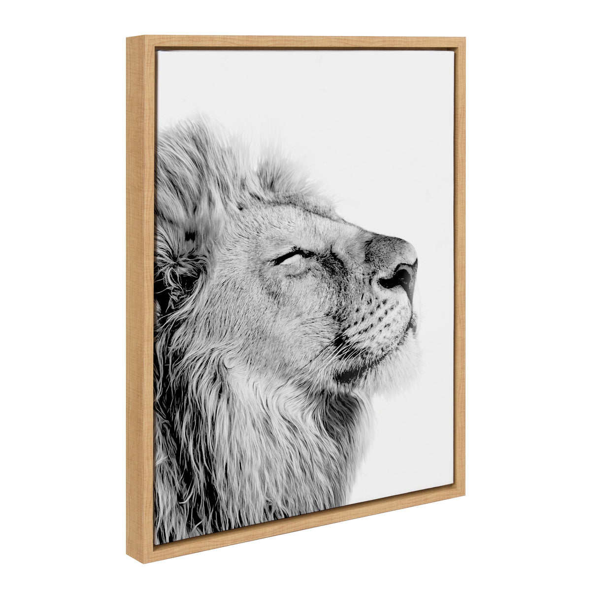 Sylvie Lion Self Actualizing Framed Canvas by Amy Peterson Art Studio