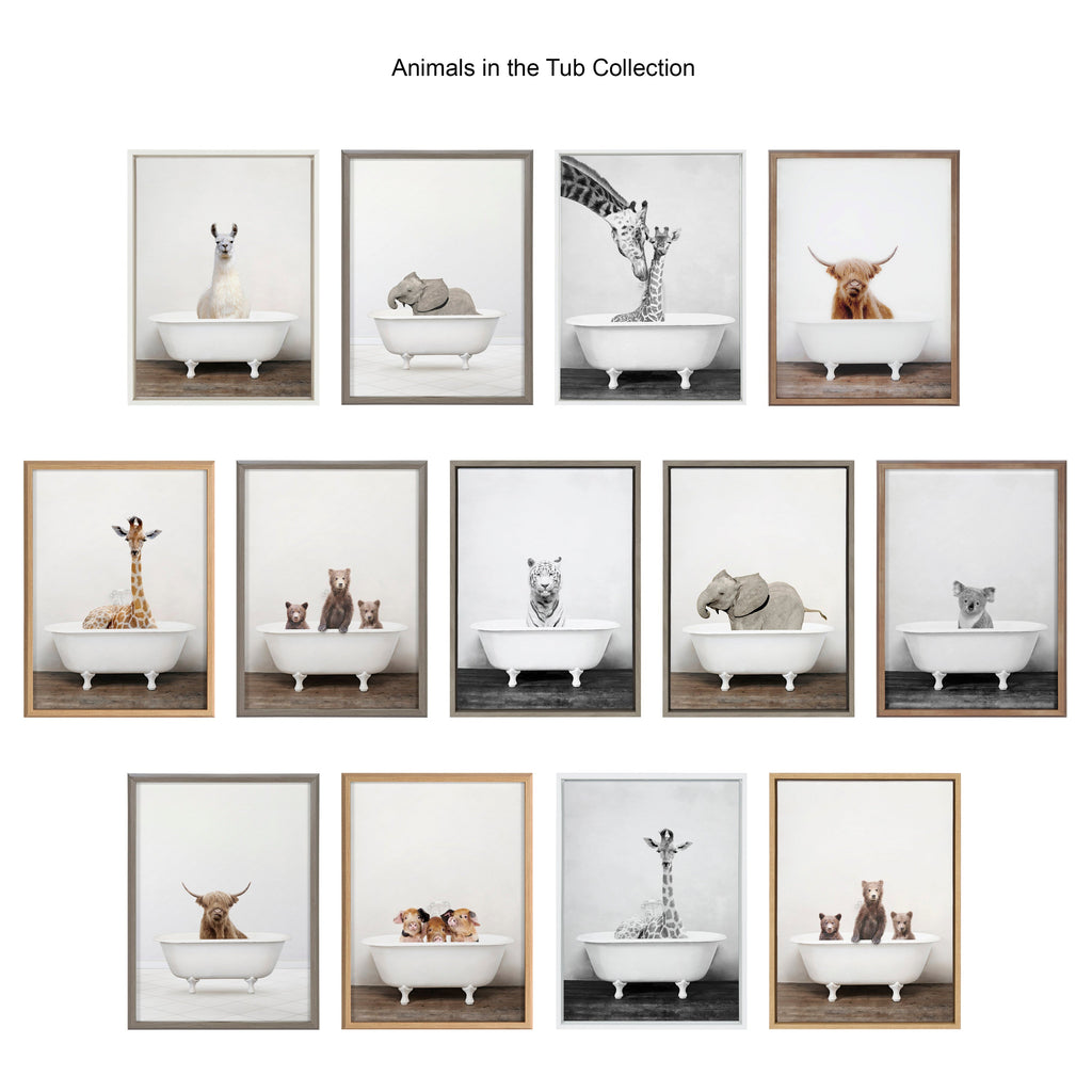 Sylvie Alpaca Bangs Framed Canvas by Amy Peterson Art Studio
