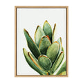 Sylvie Succulent 18 Framed Canvas By Jennifer Redstreake Geary