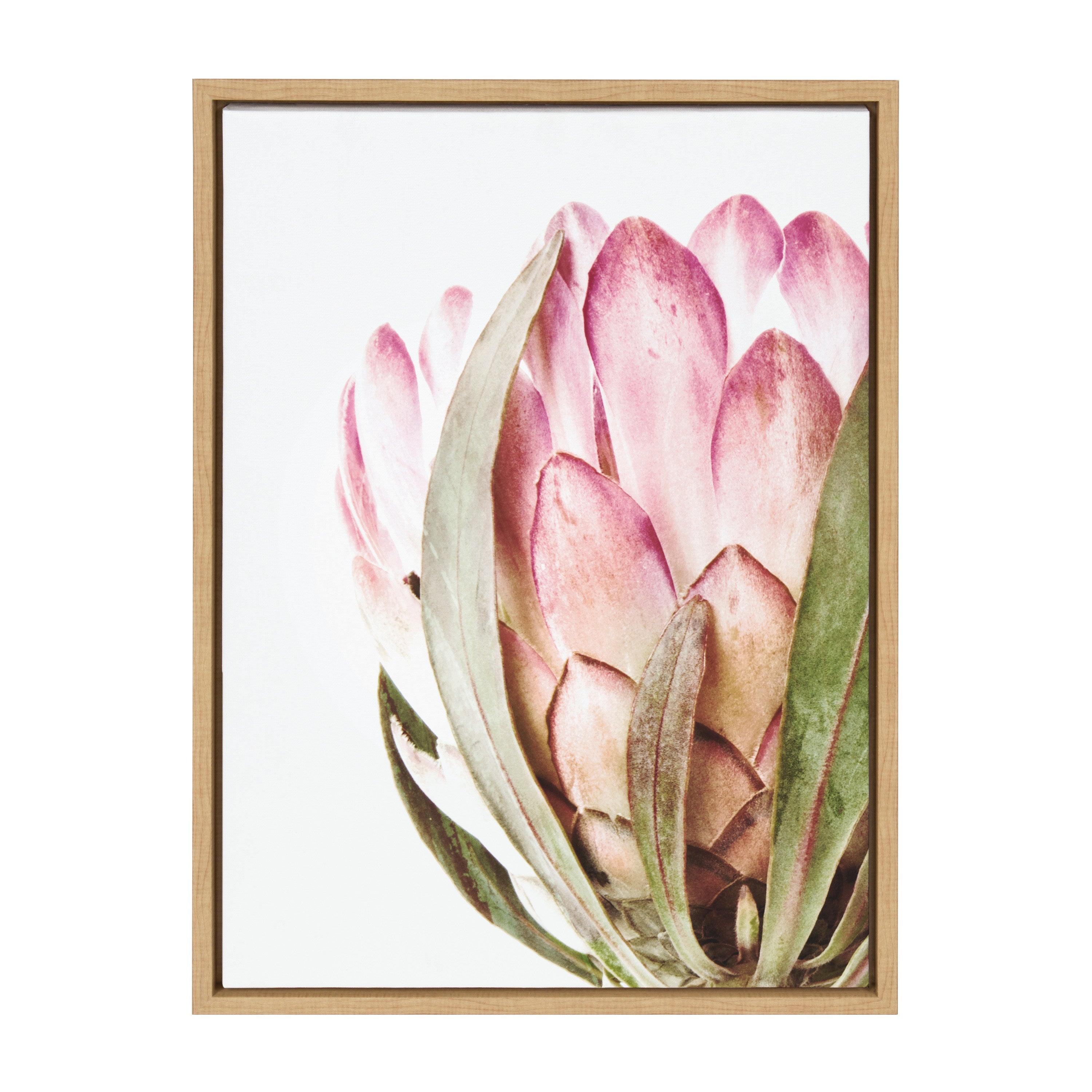 Sylvie Pink Protea Flower Framed Canvas by Amy Peterson