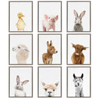 Sylvie Alpaca Bangs Framed Canvas by Amy Peterson Art Studio