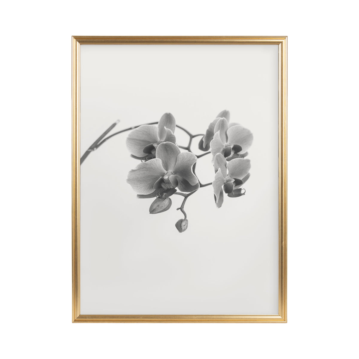 Adlynn Photo Frame Set