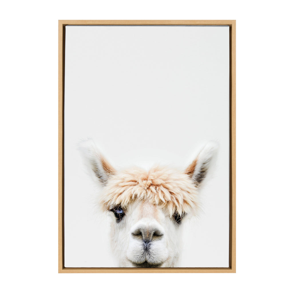 Sylvie Alpaca Bangs Framed Canvas by Amy Peterson Art Studio