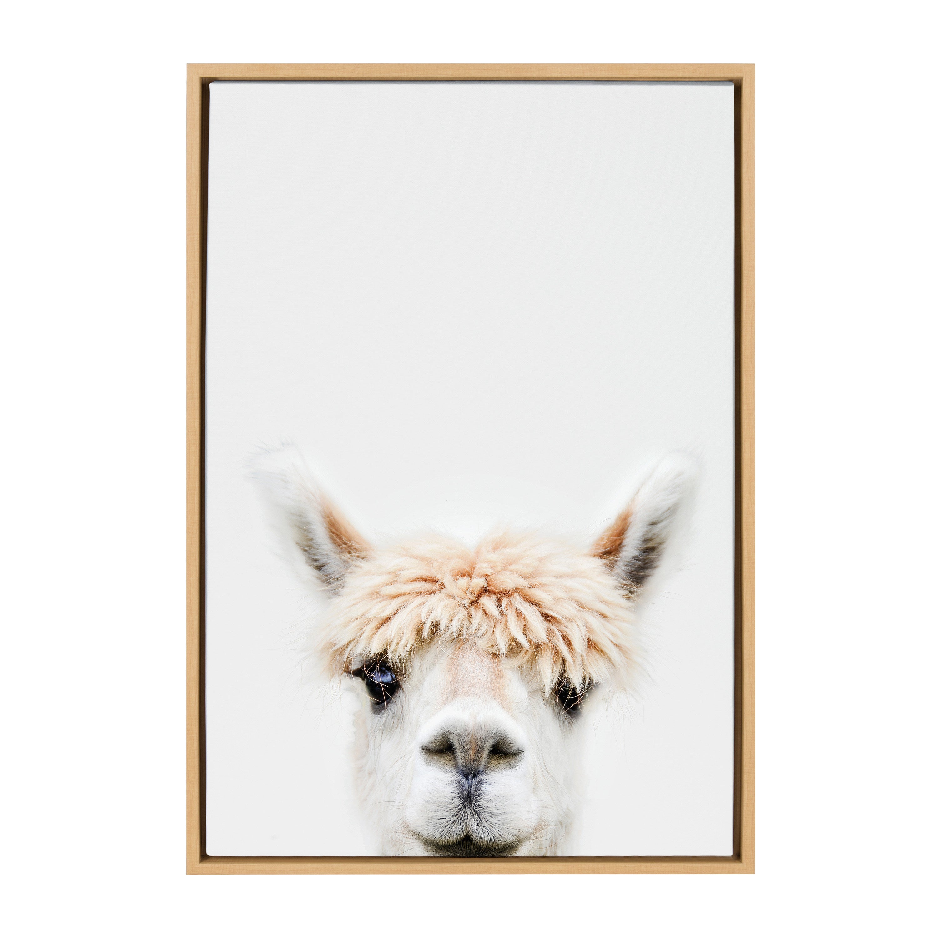 Sylvie Alpaca Bangs Framed Canvas by Amy Peterson Art Studio