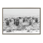 Sylvie Herd of Highland Cows Black and White Framed Canvas by The Creative Bunch Studio