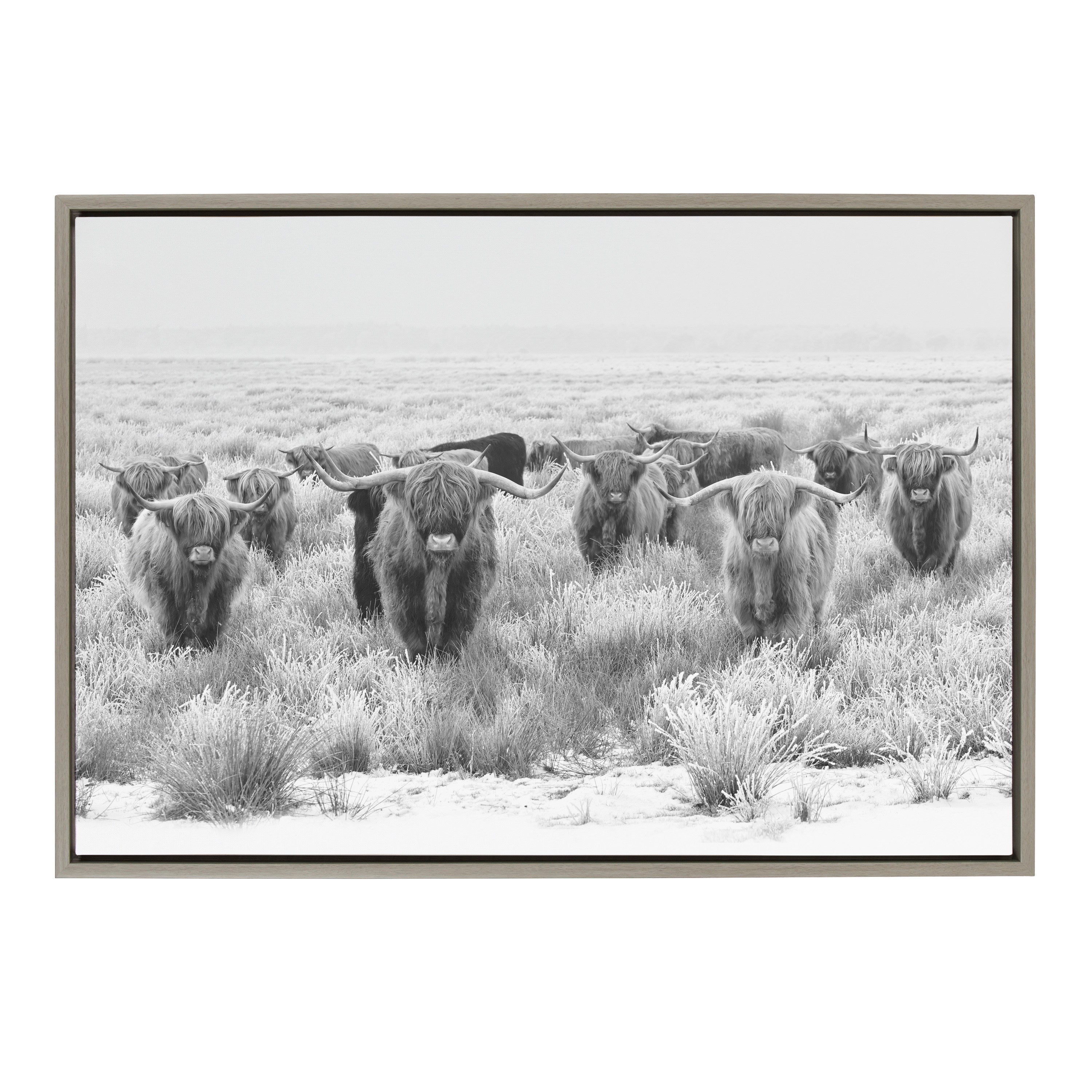 Sylvie Herd of Highland Cows Black and White Framed Canvas by The Creative Bunch Studio