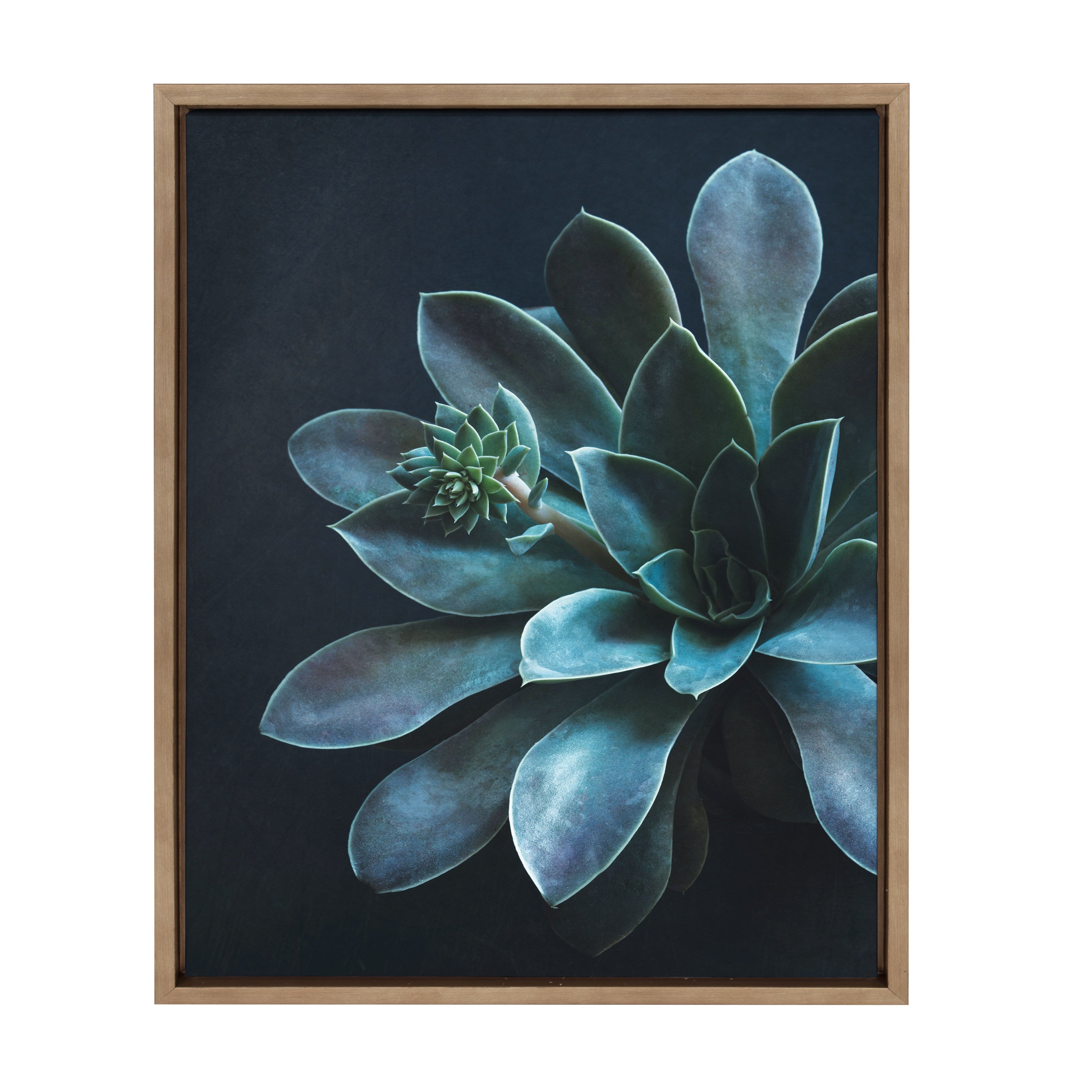 Sylvie Little One Framed Canvas by F2Images