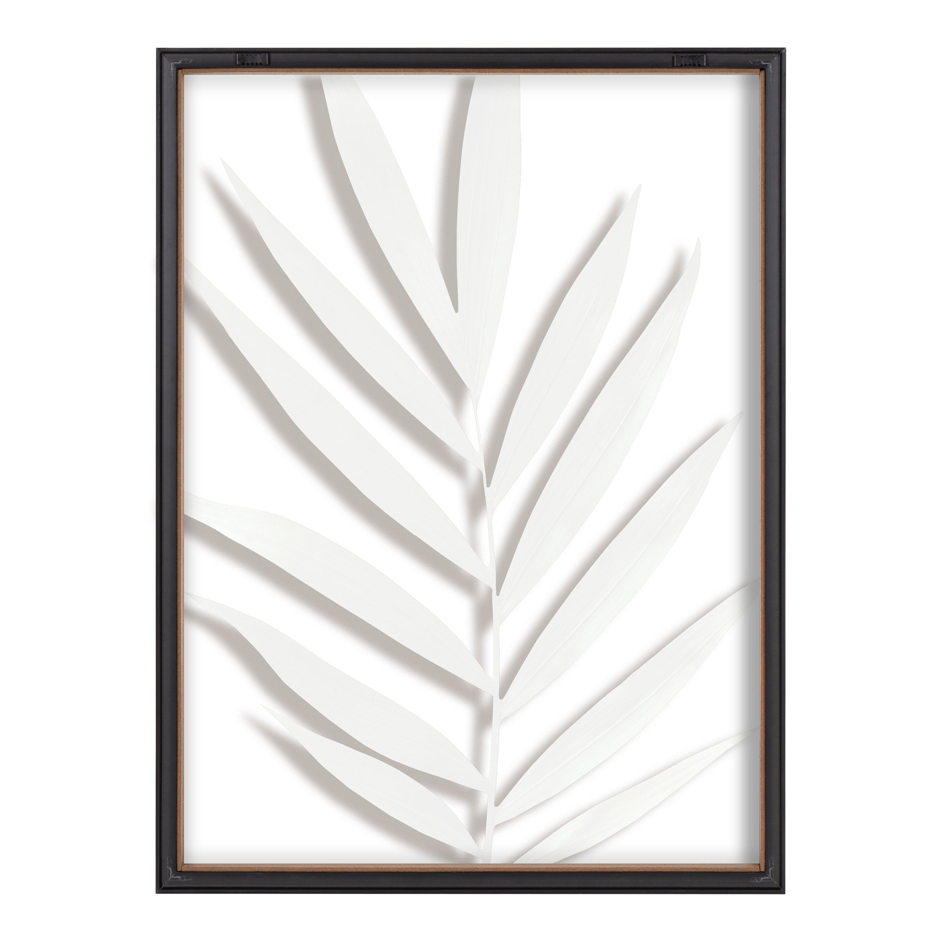 Blake Botanical 5F Framed Printed Glass by Amy Peterson