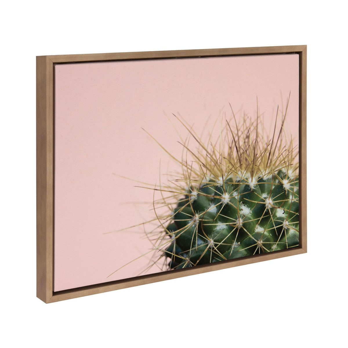 Sylvie Cactus 1 Framed Canvas by F2 Images