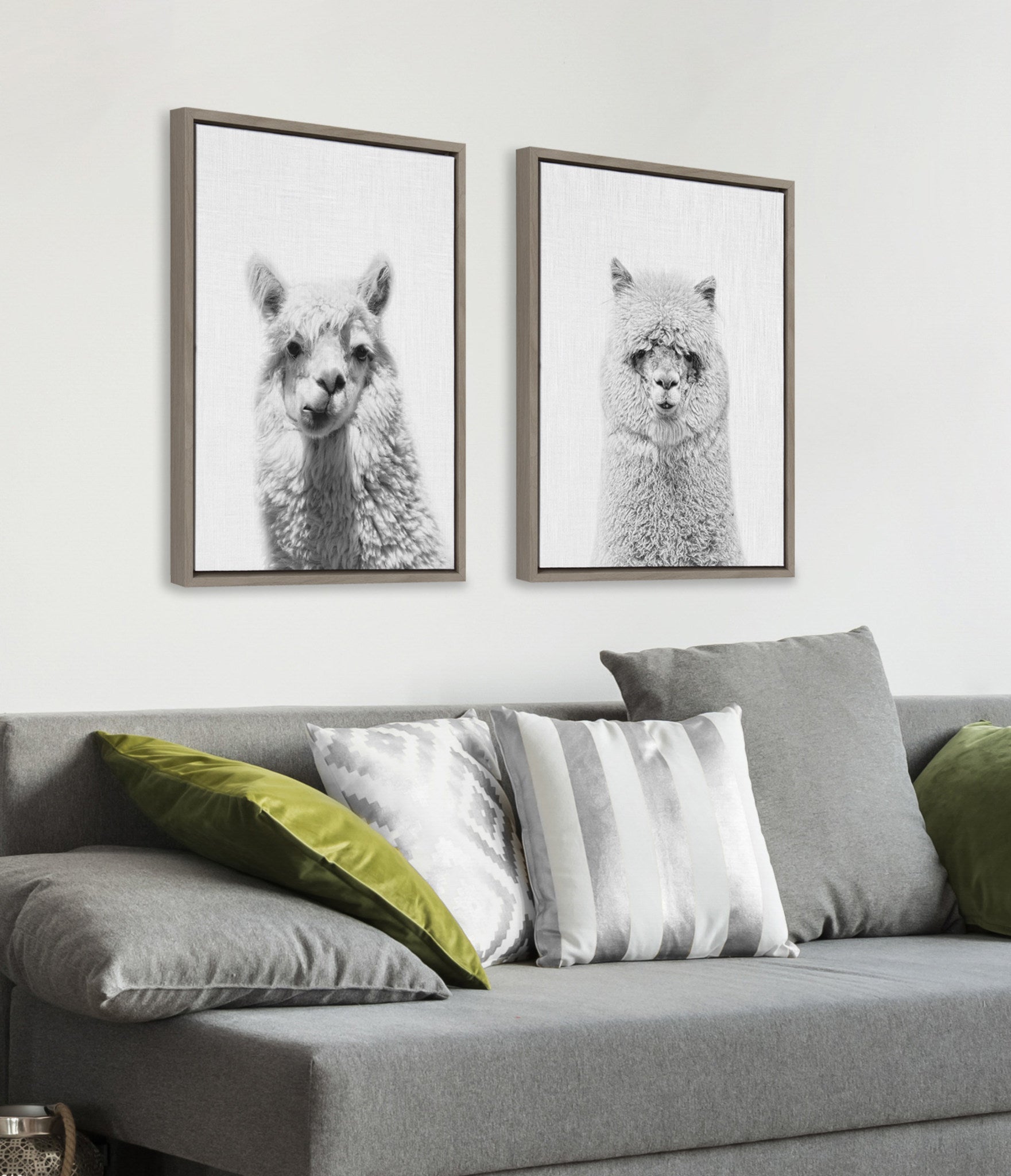 Sylvie Alpaca Portrait Set Framed Canvas By Simon Te